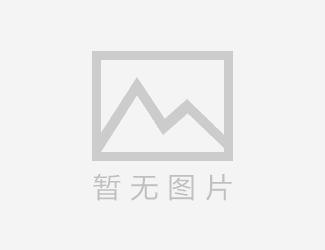 (汽车大灯公司怎么取名字)